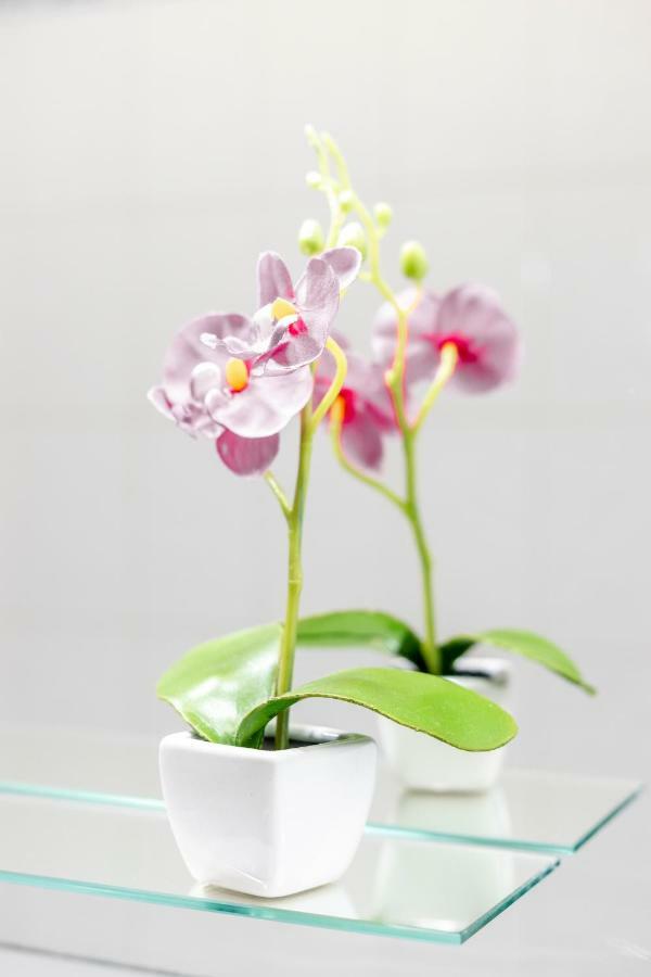 Apartamento My Place @ Duplex *